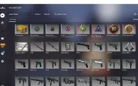 ⭐ 19 Anos/ Global Elite/ Csgo 4 Medalhas/ 9700H/ 197 Wins...