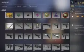 ⭐ 19 Anos/ Global Elite/ Csgo 4 Medalhas/ 9700H/ 197 Wins...