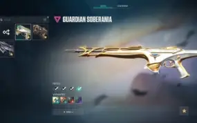 Champ Vandal 2025+Arcane Vandal+Ignite Fan+Vct Koi Team