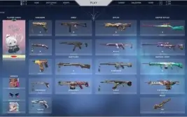 CONTA RADIANTE VALORANT MUITAS SKINS