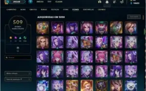 Conta Com Todas as Skin