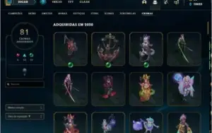 Conta Com Todas as Skin