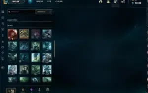 Conta Com Todas as Skin