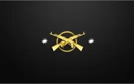 CONTA CS:GO AK-X 11 wins