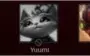 Conta DIAMANTE/MESTRE League of Legends