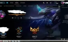 conta lol gold 73 skins