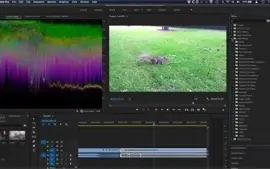 Adobe Premiere 2022 Envio Imediato
