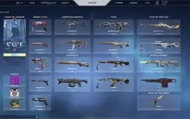 Conta Valorant Platina 3 Todos Pacotes Champions 6500 Gastos
