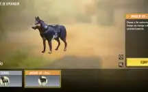 Conta COD: MOBILE no precinho