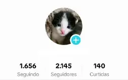 CONTA TIKTOK COM 2100 SEGUIDORES REAIS 🇧🇷 PROMOVER ✅