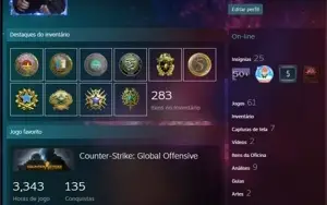 conta steam cs go 11 medalhas, 3343 horas de jogo, nível 60