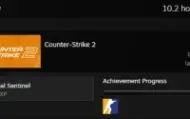Conta steam Level 82 -Faceit 10 -GC 20 -23K Premier