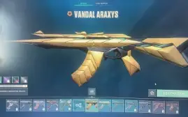 Vendo conta full acesso e varias  skins