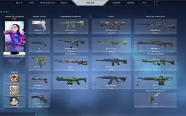 CONTA VALORANT (PLATINA) +2K GASTOS