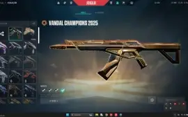 Conta valorant 1k gasto