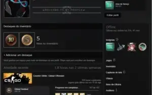 Steam 16 Anos CSGO 10 e 5 anos