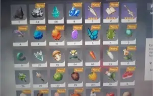 Conta Genshim/espada do tumulo/rank 32