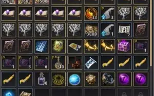GUERREITO 640 GS COM EMAIL BDO SA