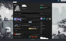 Conta prime steam level 100 CSGO + Rust GC lvl 18