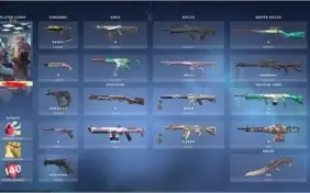 conta valorant muitas skins