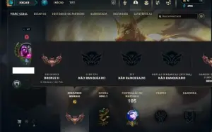 Bronze 2 com 36 Champs e 4 Skins