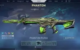 skins:3 vandal,2 phanton,5 passes, level 265, gold 2
