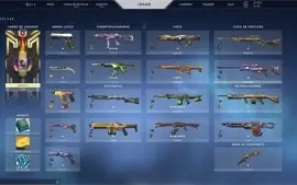 skins:3 vandal,2 phanton,5 passes, level 265, gold 2
