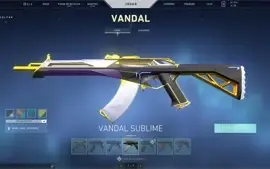 skins:3 vandal,2 phanton,5 passes, level 265, gold 2