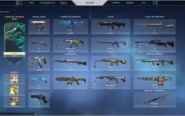 Conta valorant skin O1
