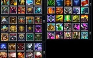 Conta Platina V