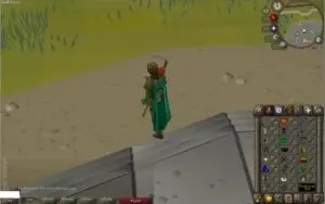 OSRS PURE F2P 99STR 93 RANGE 91 MAGE