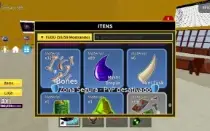 Conta de blox fruit com quase tudo