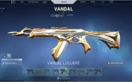 Conta Valorant