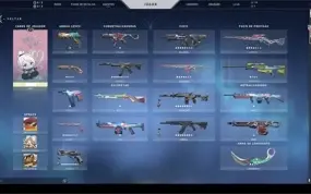 Conta Valorant, Muitas Skins
