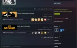 CS:GO Prime Aguia 1 2 anos steam