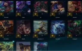 Conta Mestre,com MMR High Elo,25 skins