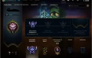 Vendo conta d2