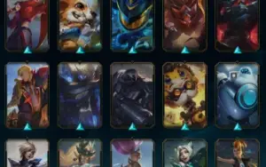 228 Skins | Full Champ | Full Acesso