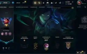 228 Skins | Full Champ | Full Acesso