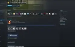 CONTA STEAM LVL 30 - 63 JOGOS - CSGO PRIME LVL ALTO