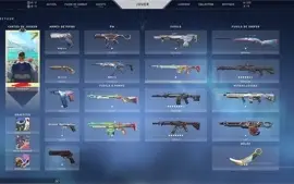 Conta Valorant 500+ reais gastos