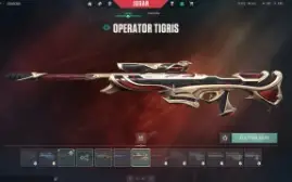 Conta valorant Com muita skins