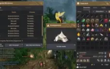 Black Desert SA Ponte Infinita HP, Pegasus e barraca P2W