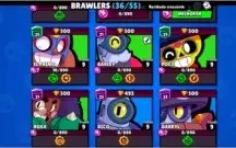 CONTA CLASH ROYALE XP 12 5 anos E BRAWL STARS QUASE FULL