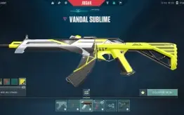 Conta Valorant Radiante 2K Gastos