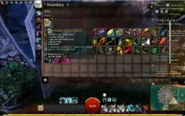 Conta Guild Wars 2 Pof Deluxe e Hof