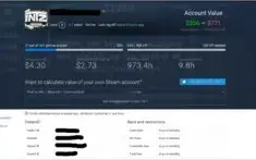 Conta Steam com 108 jogos - Itens Raros e Exclusivos