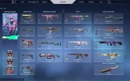 CONTA VALORANT DIMA 1 FULL SKIN