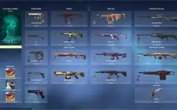 Conta Valorant com karambit champions e vandal saqueadora...