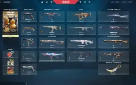 Conta Valorant Com Skins Nfa, Envio Imediato